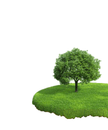 Commercial Properties for Rent